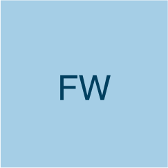 Flávio Weber Júnior